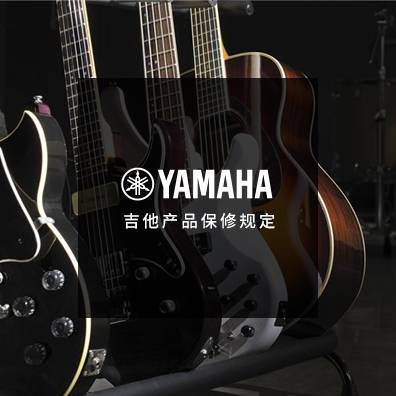吉他、贝斯和音箱